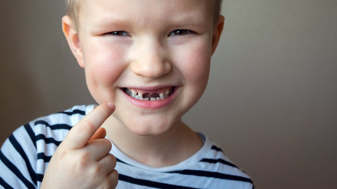Zähne können nachwachsen bleibende Wachsen Schneidezähne